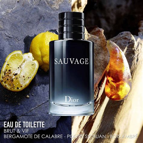 eau de toilette sauvage dior homme 200 ml|sauvage eau de toilette 100ml.